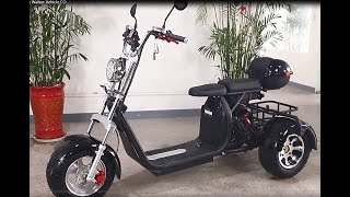 : Chinese Original Supplier of Electric Citycoco 3-Wheel Scooters