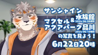 【雑談配信】サンシャイン水族館＆マクセル アクアパーク品川の写真を見よう！2024/06/09&10撮影【Vtuber/凍凪コウガ】