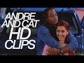 hd clips of cat and andre