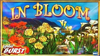 In Bloom slot machine, It's Spring!!!