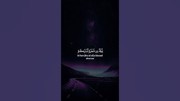 اكتب شيء تؤجر عليه 😴💚 / القارئ ياسر الدوسري | قران كريم