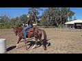 Badgers Nugget Cat, 2022 Sorrel Mare - Sale Video