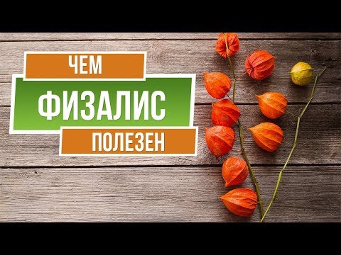 ФИЗАЛИС Полезные Свойства ✔️ Лучшие Сорта Физалиса Для Средней Полосы