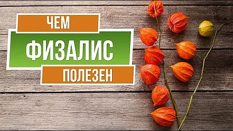 ФИЗАЛИС Полезные Свойства ✔️ Лучшие Сорта Физалиса Для Средней Полосы