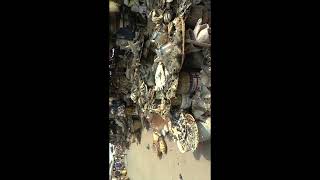 Voodoo Market Benin mobile #shorts screenshot 3