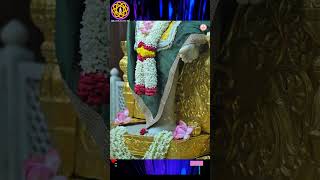Stills, Day Aarti, Blessings, Aarti, Shri Sai Baba,Sai Bhakth Tv
