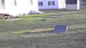 Team Associated SC10B Buggy running video