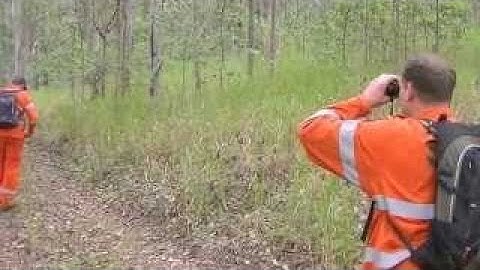 Search & Rescue Visual Tracking Exercise 👋👋👋👋