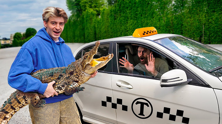 ЕДУ В ТАКСИ С ЭКЗОТИЧЕСКИМИ ЖИВОТНЫМИ!**КРОКОДИЛ**