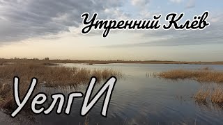 🥳 УЕЛГИ 🤪 Нашёл Тропу Карася и Понеслось.Экземпляры Достойные.