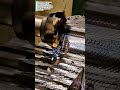 Gear Machining Magic: Precision in Action!