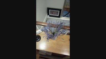 VERNEE MIX 2 Bokeh/Blur Camera Test 2 - Sony Camera - 1080p