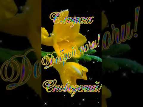 Доброй ночи, мои дорогие друзья! Чарующая музыка Сергея Чекалина!