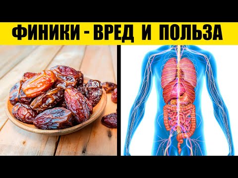 Финики. Польза и вред для организма