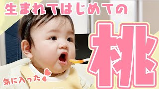 [Eng Sub] Baby Loves to Eat Peach!