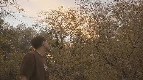 Elixirs - Revive Me (Official Music Video) Shot on DJI FLIP & A7CII