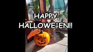 Halloween Jack O Lantern - HAPPY HALLOWE&#39;EN!!!