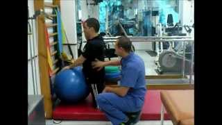 Gatear - Lesión Medular T2-T3