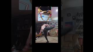 How to do a Spinning Kick