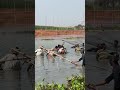 Unseen Village Polo Fishing in Action!