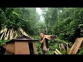 Carrying plank Woods to Destination  in Village Nepal || Simple Lifestyle Of Nepali Village