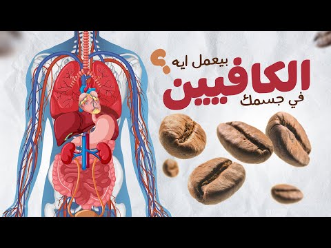رحلة الكافيين داخل جسم الانسان