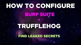 How to Run Trufflehog on Burp Suite | Hindi screenshot 4