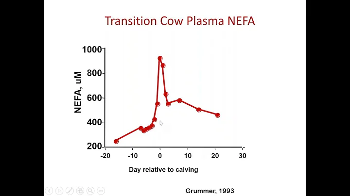 Insulin Resistance in Transition Dairy Cows: Frien...