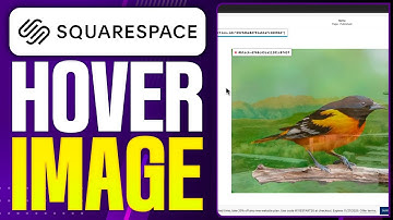 How To Change Hover Image On Squarespace (2025 Updated Tutorial)