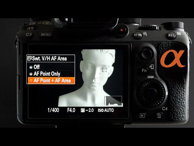 Sony Alpha Custom Settings: Switch Vertical Horizontal AF Area class=