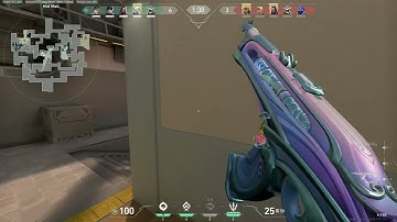 Invisible Character Models After Reconnecting