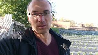 картинка: ЕСи воды.. не принял в серьез!