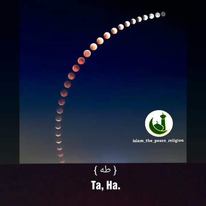 Taha : 1-6 | Beautiful Qur'an Recitation by Jibril Wahab | Heart Touching