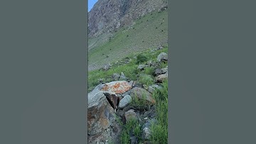 #song #music #love #hamachannel