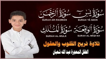 قرآن المساء || سورة يس، الرحمن، الواقعة، الملك | 🌹💚من أجمل وأروع تلاوات القارئ عبدالله احمد شعبان