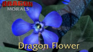 Dragon Flower | Dragon Morals #9 | Everything Wrong with & Everything Great with