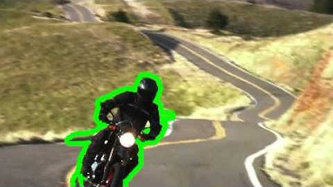 Fast video segmentation example output.