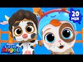 Fun Animal Dance Party Little Angel And Friends Kid Songs 