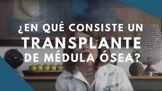 What does a bone marrow transplant involve?
