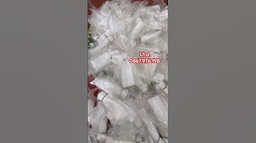 #. XỐP BỌC ỔI 4 mùa chống ruồi vàng