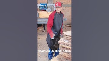 Wood Sawmill Production Line in Mexico#sawmill #sawmills #sawmachine #sawing #woodcutting #wood