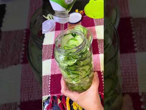 Conserva de pepino