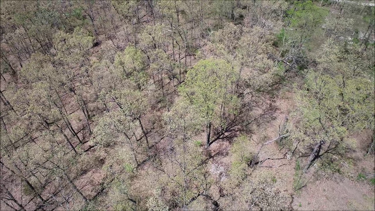 39 Acres for Sale Warren County Missouri YouTube