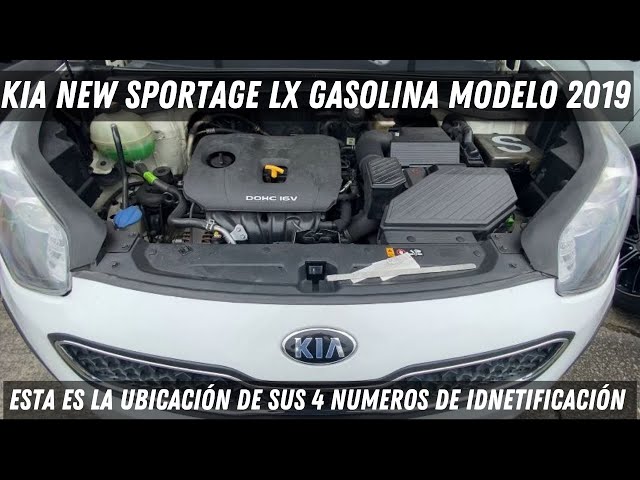Ubicación de número de motor y chasis de una KIA NEW SPORTAGE LX 2019  Gasolina - YouTube