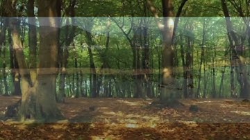 ماتيسر من سورة القيامة #تلاوة_خاشعة القارئ علي ال نعسان@islam_sobhi
