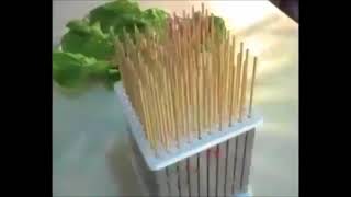 Bamboo sticks with tip for skewers and skewers Ø 3.0 mm of 250 mm