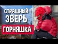 Острая Горная Болезнь: симптомы и профилактика