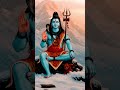 #hal merehaldil ka #