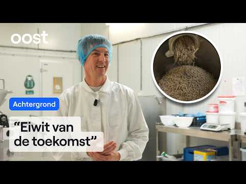 This factory makes cricket burgers | RTV Oost