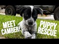 WE RESCUED A PUPPY! | Meet Camber 🐶